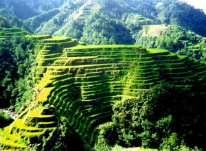 Les rizières de Banaue Banaue-philippines-voyage-photo-300x220
