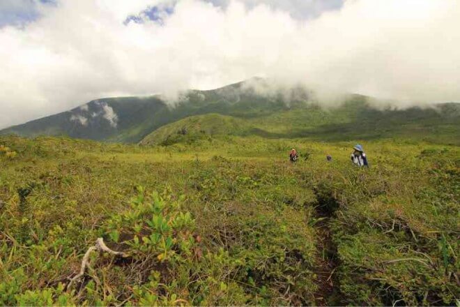 Le Mt. Hamiguitan sur ​​la Liste du patrimoine mondial de l’Unesco