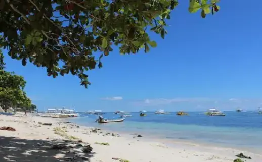 Bohol