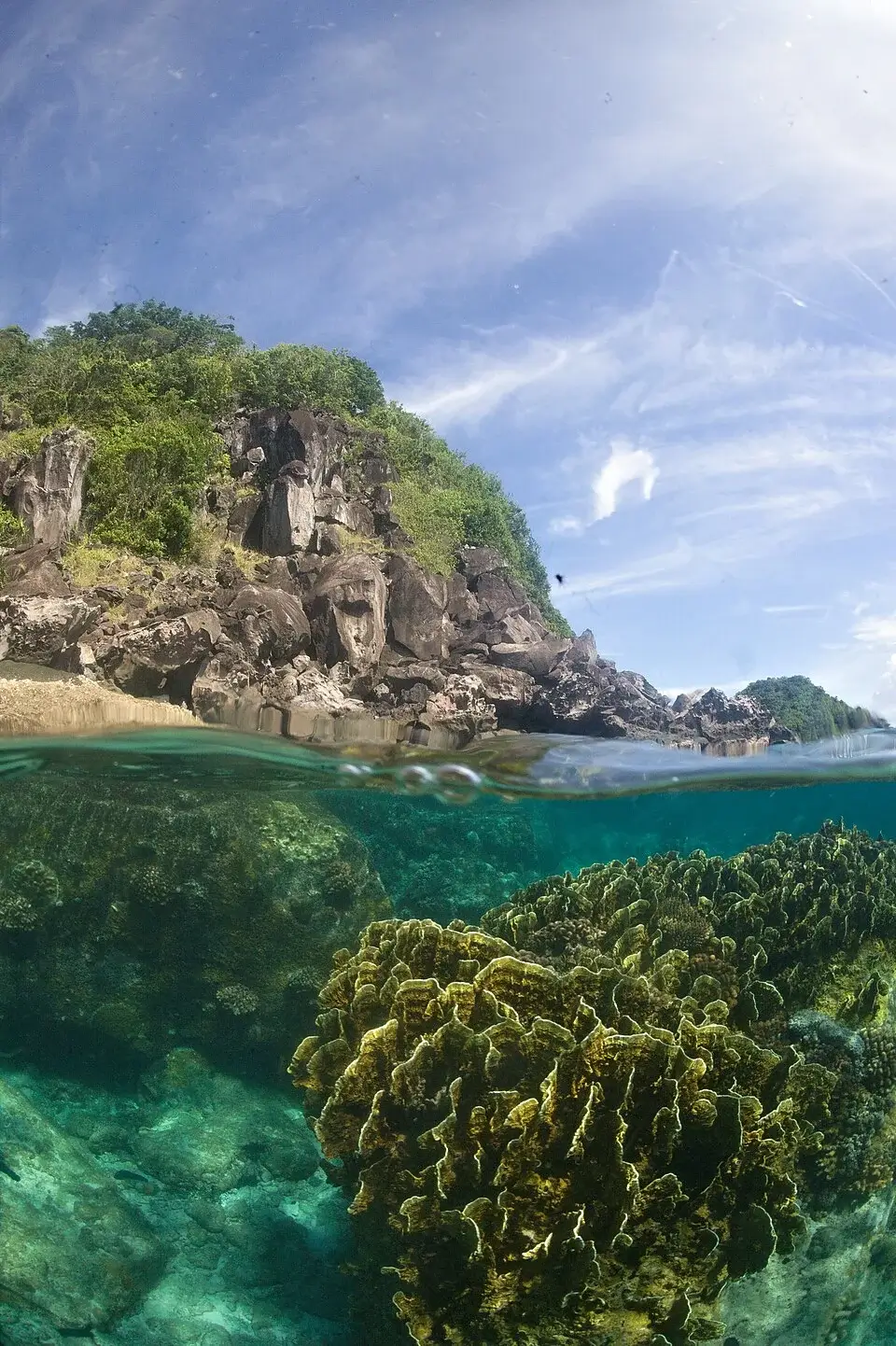 Apo Island aux Philippines