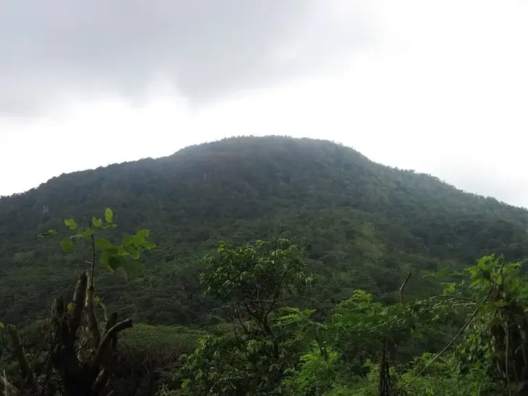 Kalanggaman