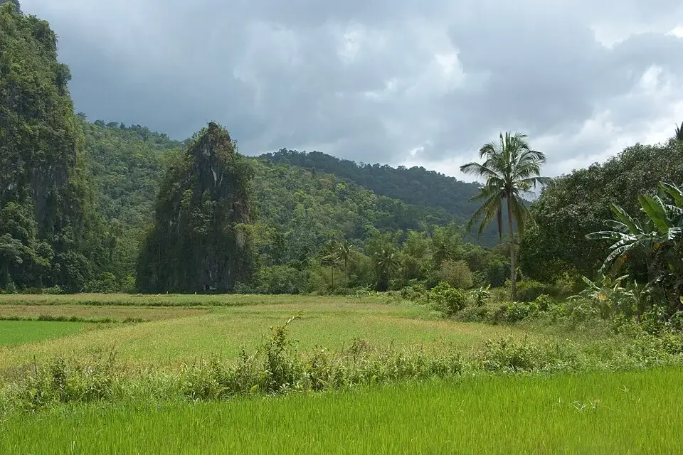 Puerto Princesa aux Philippines